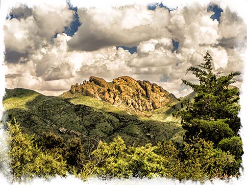 Chiriicahua Mountain Man