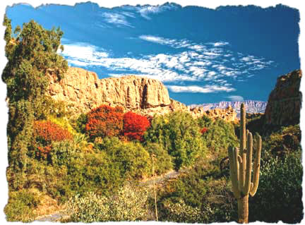 Fall at Picketpost Mountain