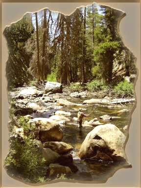 Fishing the San Joaquin