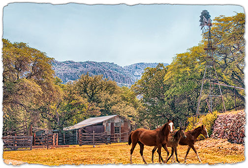 Chiricahua Faraway Ranch