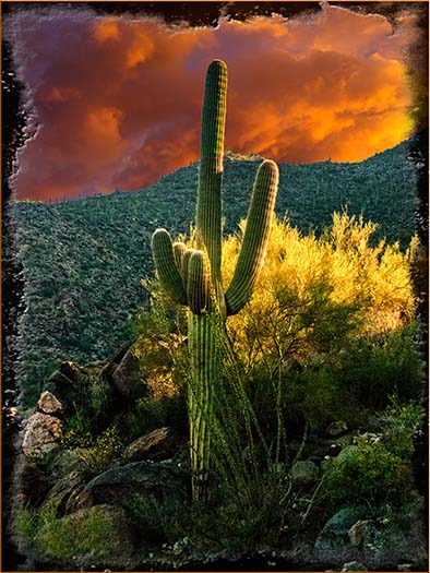 Dove Mountain Sunrise