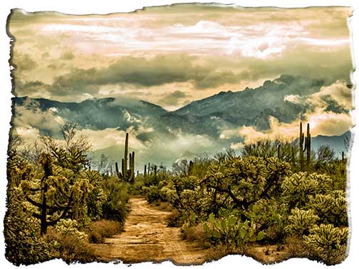 Pathway to adventure